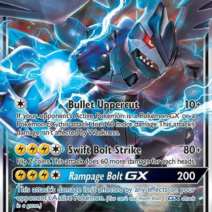 sm138-zekromgx