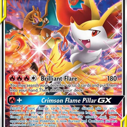 sm230-charizardbraixengx