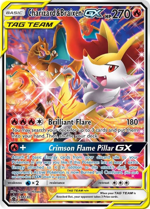 sm230-charizardbraixengx