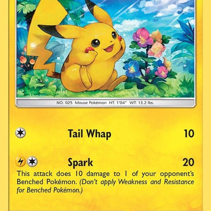 sm86-pikachu