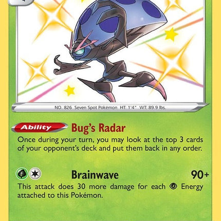 sv009/sv122-orbeetle