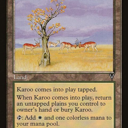 vis-165-karoo