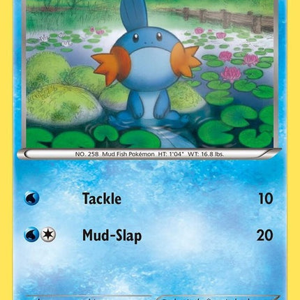 xy38-mudkip